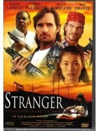 Stranger - Vengeance dans la ville
