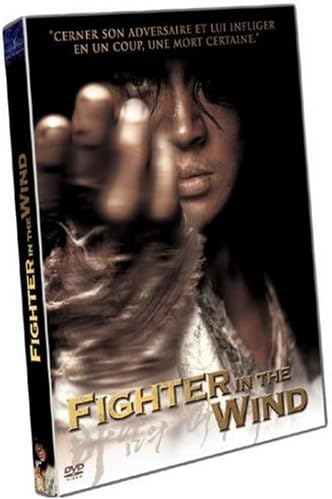 Fighter In The Wind