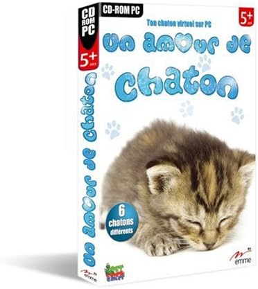 Un amour de chaton