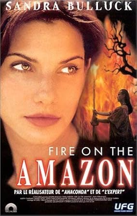 Fire on The Amazon