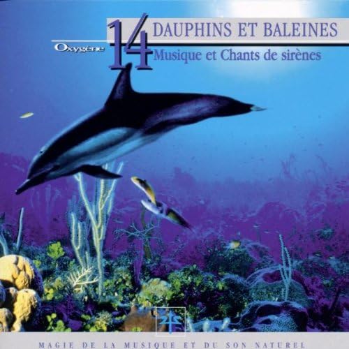 Dauphins et baleines