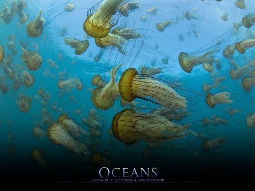 Ocçans (César 2011 du Meilleur Documentaire)