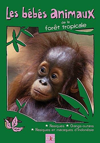 Les Bébés Animaux des forêts Tropicales
