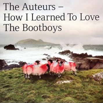 How I Learned to Love Bootboys