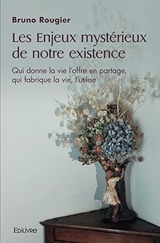 Les Enjeux mystérieux de notre existence