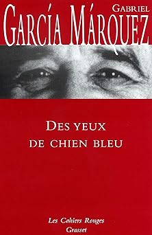 Des yeux de chien bleu