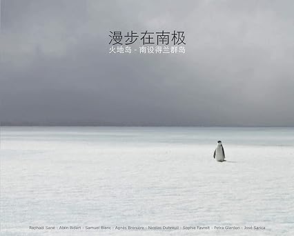 Antarctique (version chinoise)