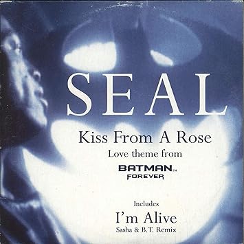 Kiss from a rose