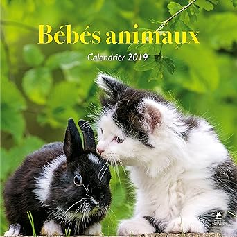Bébés animaux - Calendrier 2019