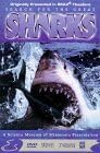 Large Format - Search for the Great Sharks [Import USA Zone 1]