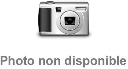 SNK VS Capcom SVC Chaos