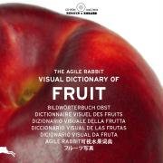The agile Rabbit visual dictionary of Fruit (1Cédérom)