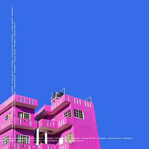 Punk...Not Diet! [Vinyl] Giardini di Miro