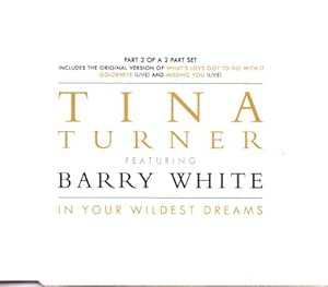 in Your Wildest Dreams [Import]