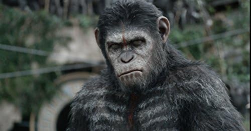 La Planète des Singes : L'Affrontement [Blu-Ray]