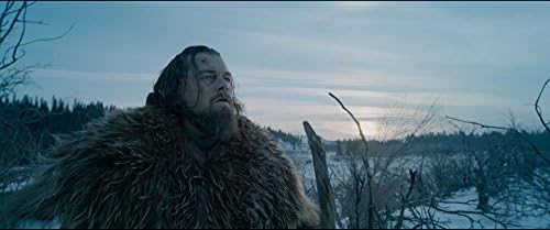 The Revenant [DVD + Digital HD]