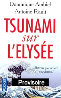 Tsunami sur l'Elysée : Pourvu que ce soit une fiction !
