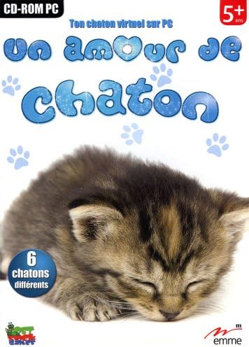 Un amour de chaton