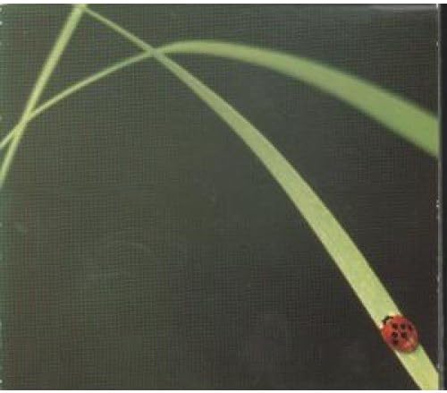 Out In Essence [CD] Fluke