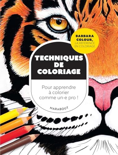 Techniques de coloriages: Pour apprendre à colorier comme un,e pro !: 31614 [Pap