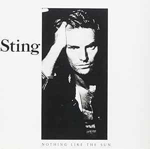 Nothing Like The Sun [Import]