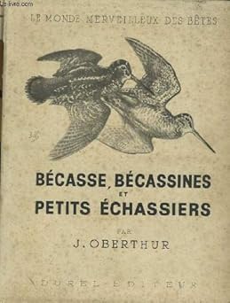 Bécasses, bécassines et petits échassiers