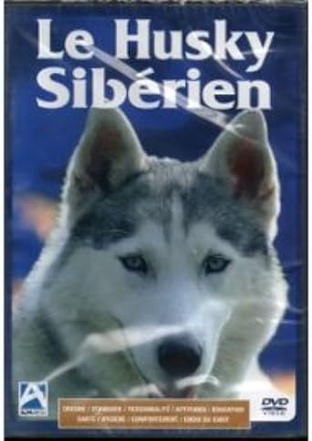 Le Husky sibérien [VHS]