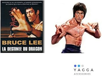 LA DESTINEE DU DRAGON