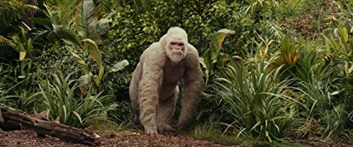 Rampage - Hors de Contrôle - [Blu-ray]