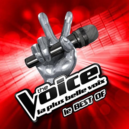 The Voice (2 CD)