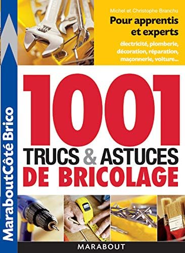 1001 trucs et astuces du bricolage