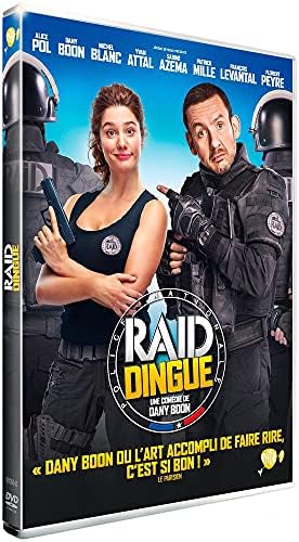 Raid dingue