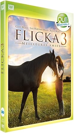Flicka 3 : Meilleures amies