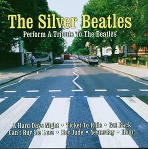 Tribute to the Beatles [Import allemand]