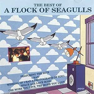 A Flock Of Seagulls