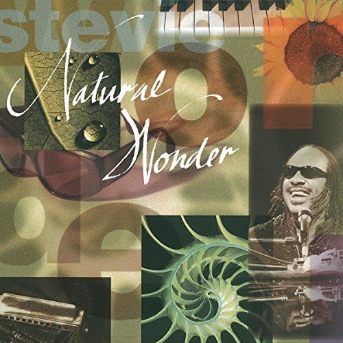 Stevie Wonder - Natural Wonder [Audio-cd] Stevie Wonder