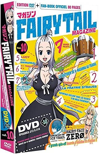 Unbekannt Fairy Tail Magazine - Vol 10 (Edition Limited) VF/VOST FR [FR Import]