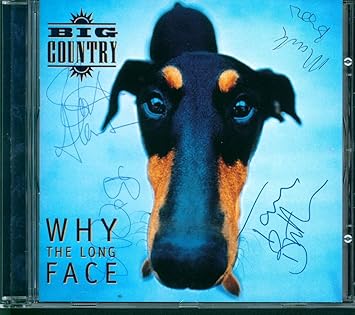 Why The Long Face [Import Anglais]