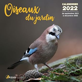 Calendrier Oiseaux du jardin 2022 [Calendrier] [2021] COLLECTIF