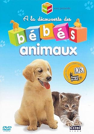 A LA DECOUVERTE DES BEBES ANIMAUX