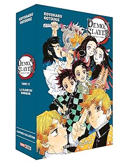 Demon Slayer - Coffret (T17 + Roman N°01) [Broché] [2021] Gotouge, Koyoharu- Y