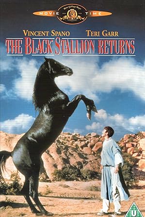 Black Stallion Returns The [Import anglais]