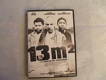 13m²